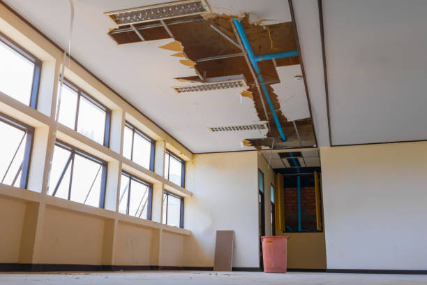 Best Sewage cleanup and water damage restoration  in Russells Point, OH