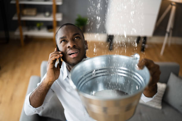 Best Flood restoration services  in Russells Point, OH