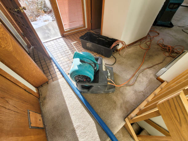 Best Water damage contractors near me  in Russells Point, OH