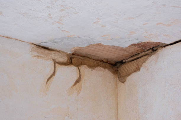 Best Residential water damage restoration  in Russells Point, OH