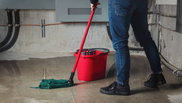 Best Residential water damage restoration  in Russells Point, OH