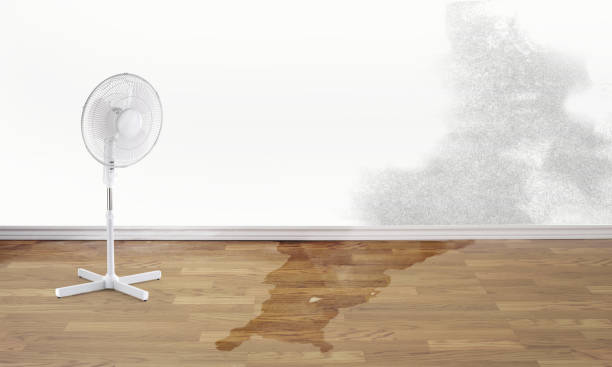 Best Flooded house restoration  in Russells Point, OH