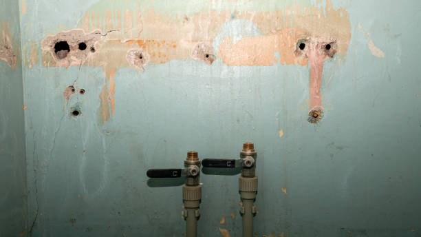 Best Flood restoration services  in Russells Point, OH