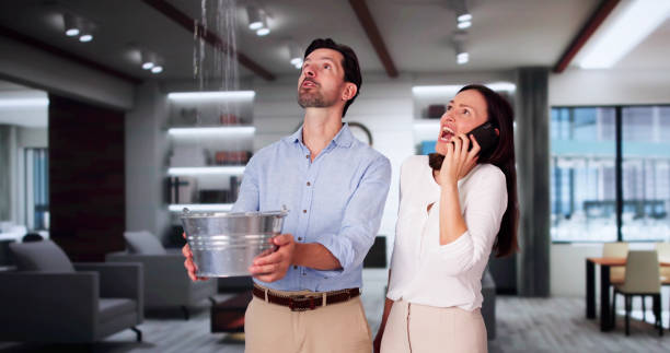 Best Local water damage restoration  in Russells Point, OH